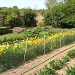 Bed and breakfast Petit Manoir De La Berthenlaire Baincthun