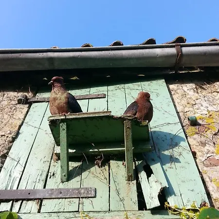 Petit Manoir De La Berthenlaire