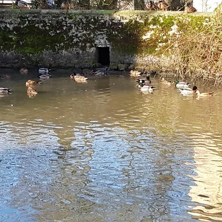 Petit Manoir De La Berthenlaire Baincthun