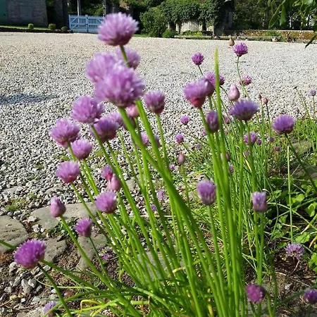 Petit Manoir De La Berthenlaire 3*