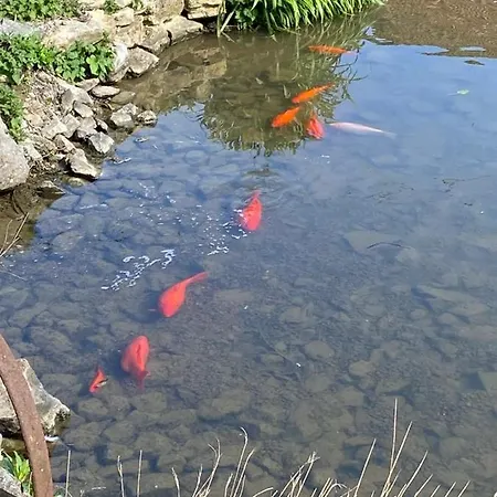 Petit Manoir De La Berthenlaire