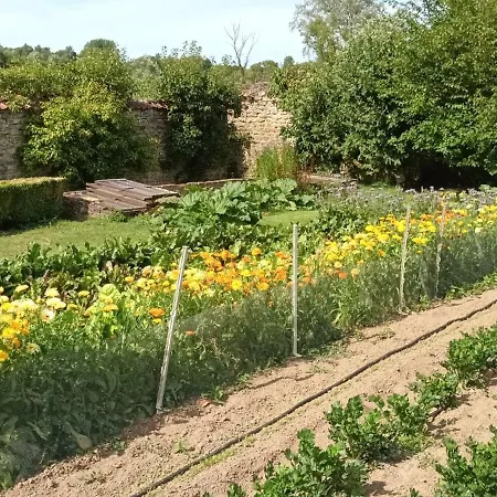 Bed & Breakfast Petit Manoir De La Berthenlaire Baincthun
