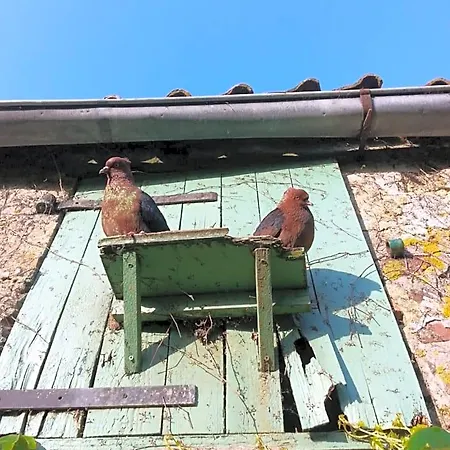 Petit Manoir De La Berthenlaire 3*