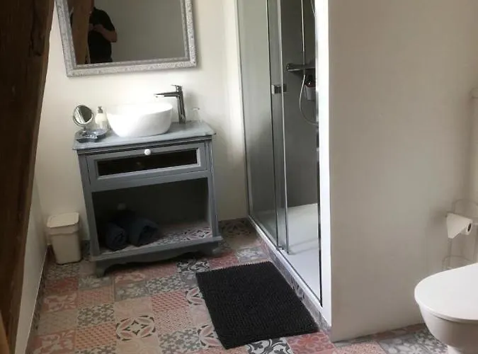 Bed & Breakfast Petit Manoir De La Berthenlaire 3*