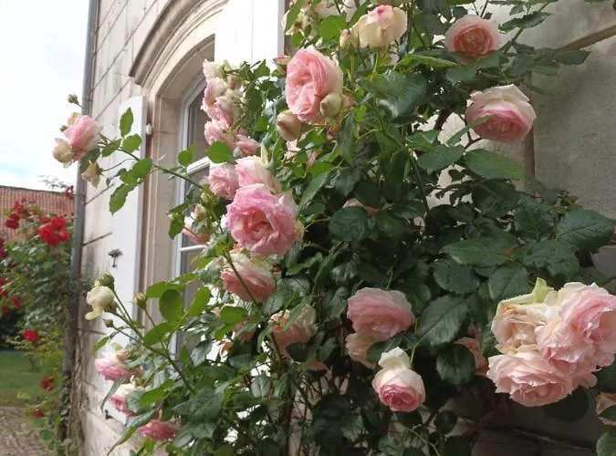 Petit Manoir De La Berthenlaire