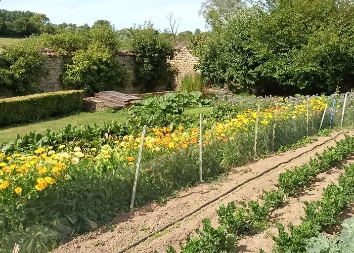 Bed & Breakfast Petit Manoir De La Berthenlaire Baincthun